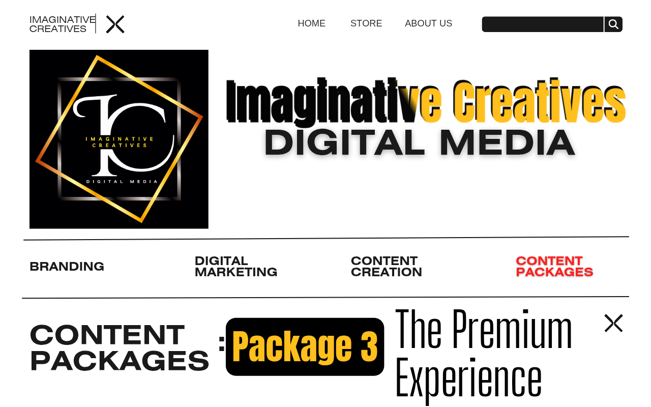 Package 3: The Premium Experience