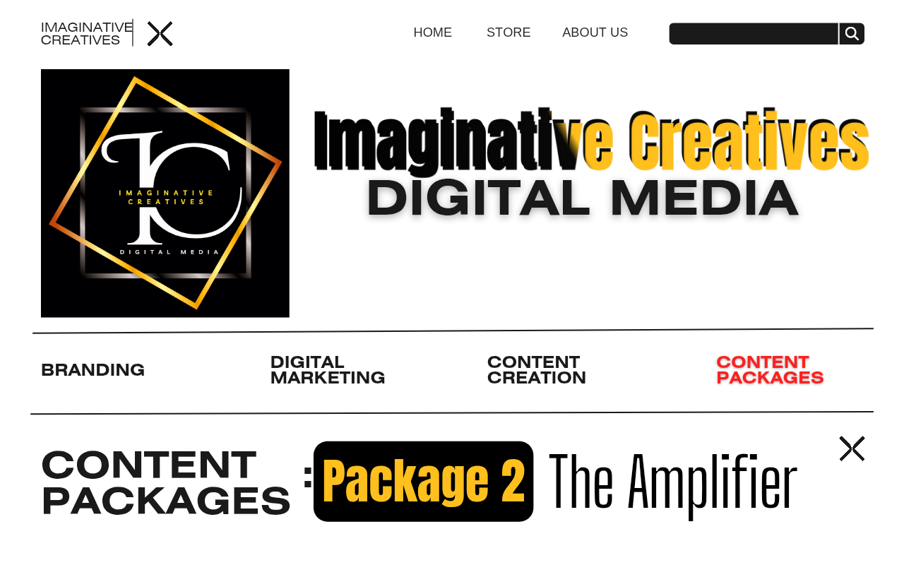 Package 2: The Amplifier